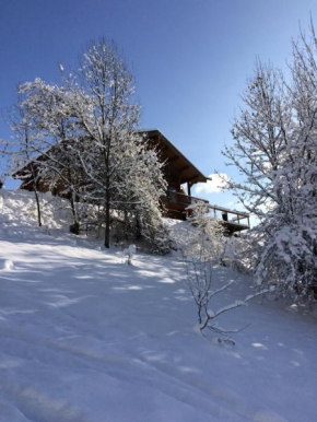 Гостиница Chalet Chamois  Морзин